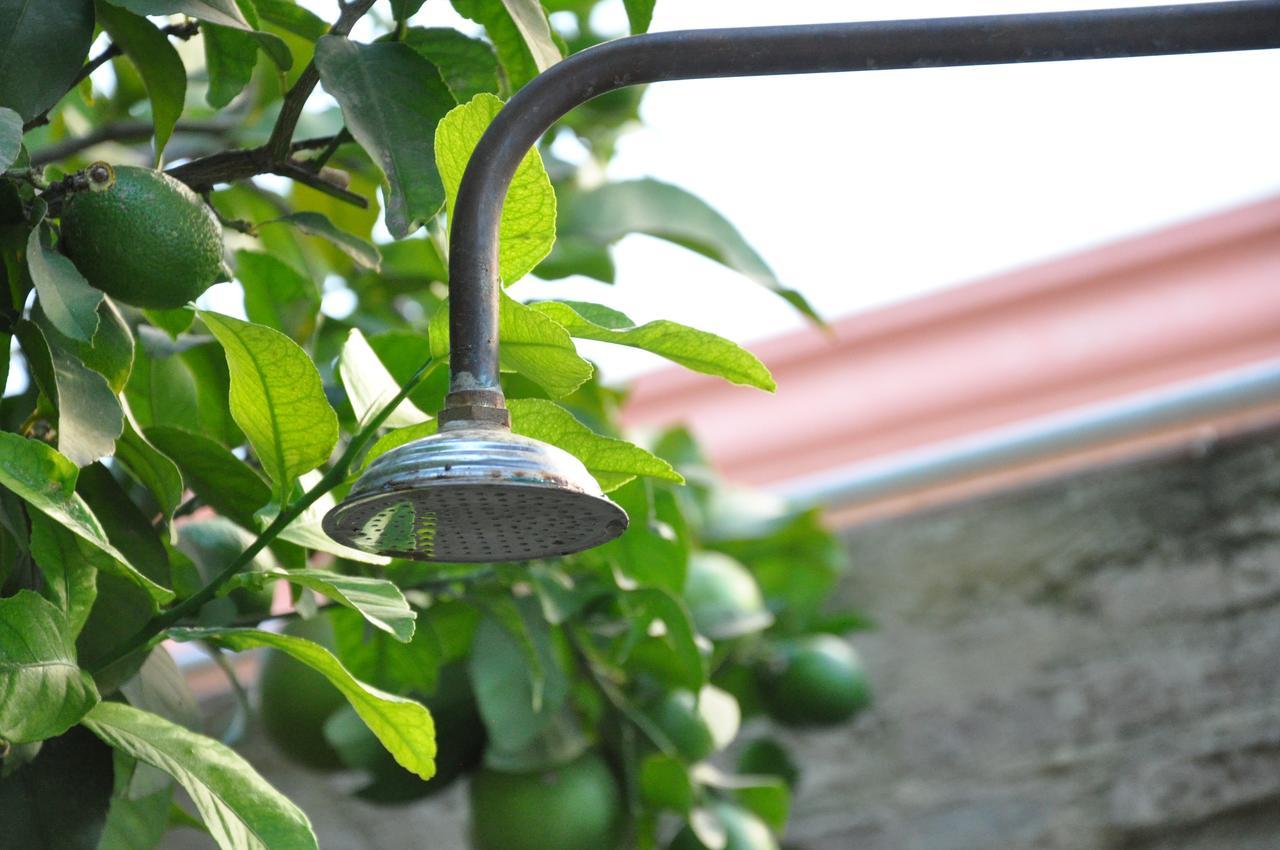 Hostel Lemon Garden Sevilla